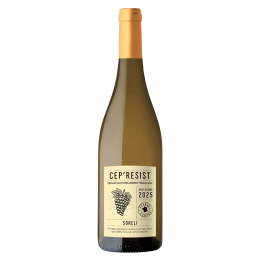 Cep'Resist Soreli Blanc 2025