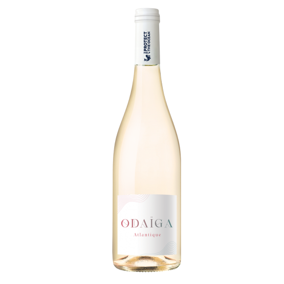 Odaïga Blanc 2024 Domaine Mont d'Oraàs Domaine Mont d'Oraàs FR 6B Chemin la Saline Domaine Mont d'Oraàs Domaine Mont d'Oraàs Domaine Mont d'Oraàs 6B Chemin la Saline Domaine Mont d'Oraàs Domaine Mont d'Oraàs Domaine Mont d'Oraàs Domaine Mont d'Oraàs Domaine Mont d'Oraàs 6B Chemin la Saline Domaine Mont d'Oraàs 6B Chemin la Saline 6B Chemin la Saline